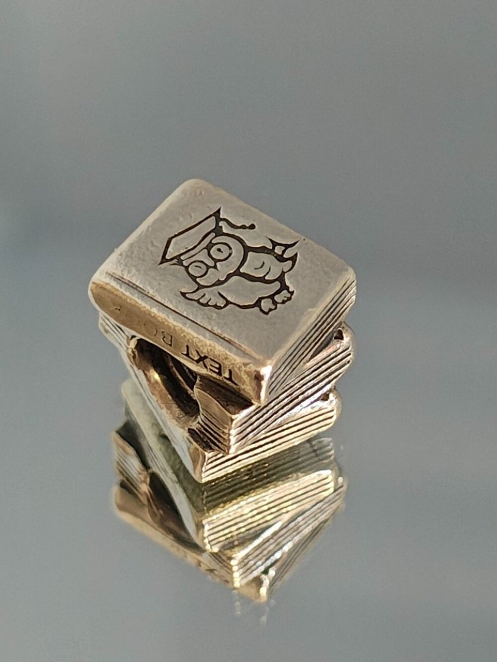 Authentic Pandora Study Books Charm – 790536 Sterling Silver (Retired)